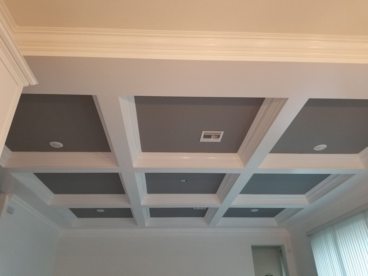 Custom Ceiling Installation In Royal