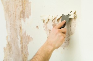 Wallpaper Removal Company