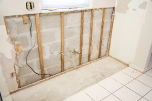 Mold Damage Repair